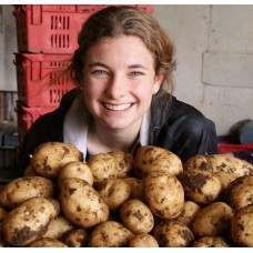 NEW SEASONS MOONLIGHT POTATOES 5 KG Bag Pukekohe Grown